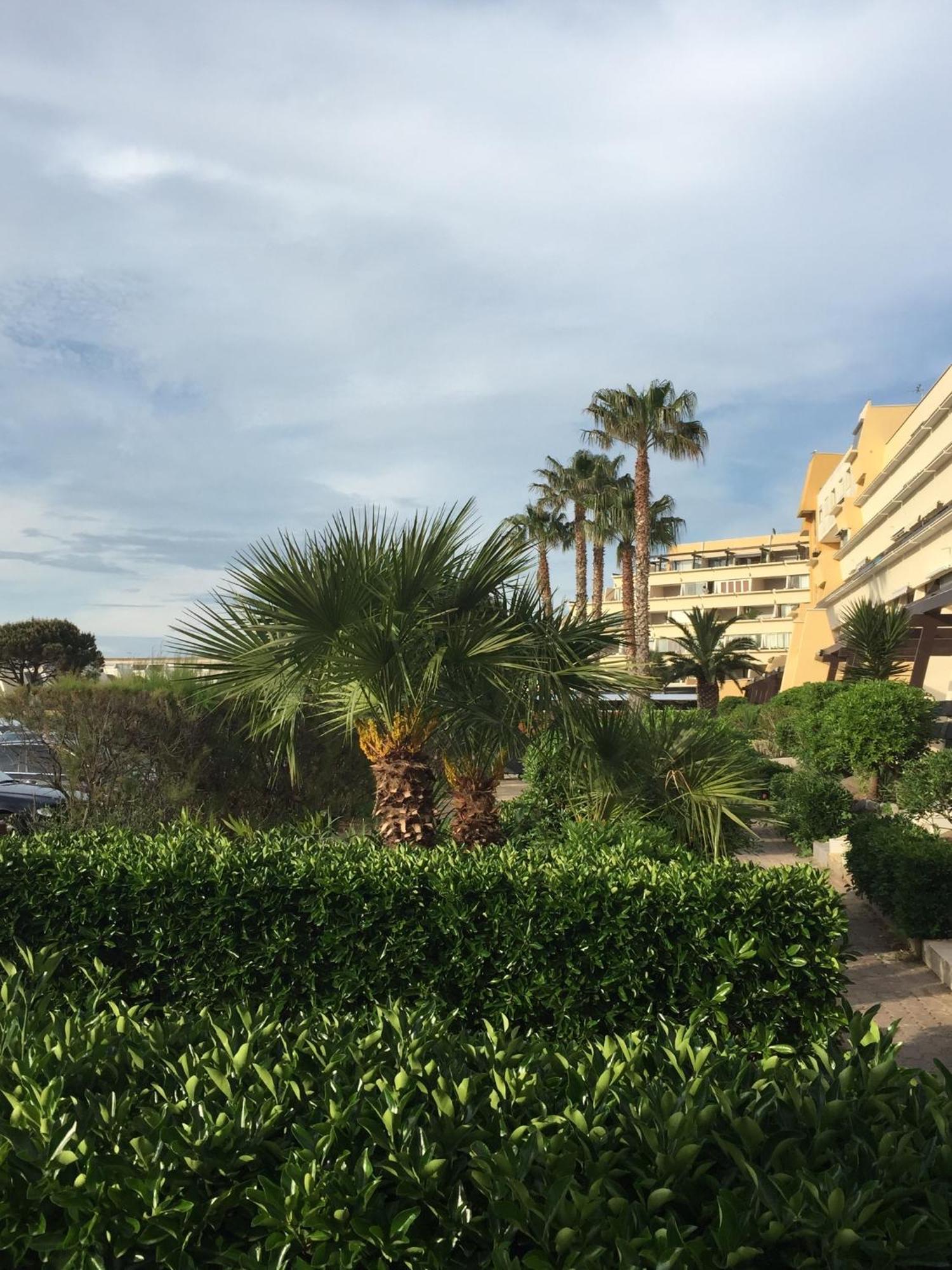 Residence Port Nature By 8-Homes Vue Port Agde Exterior foto